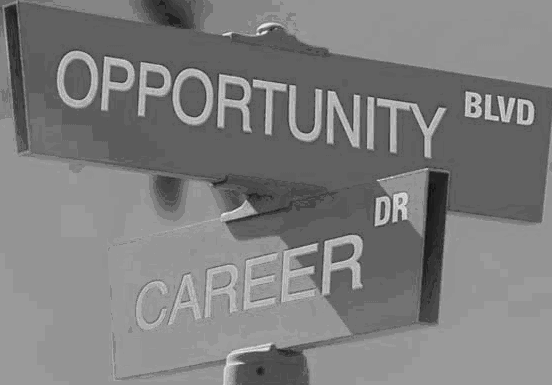 careergraphicBW